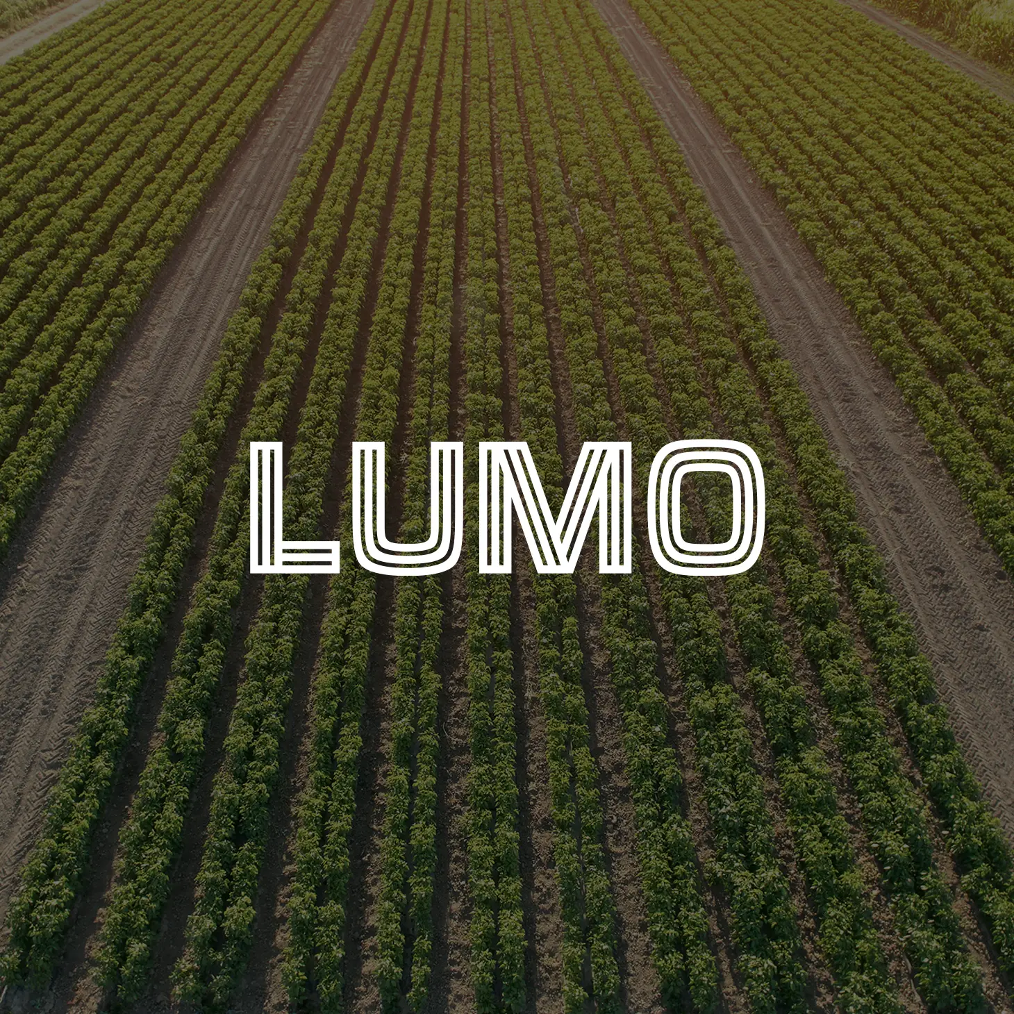 Lumo portfolio thumbnail